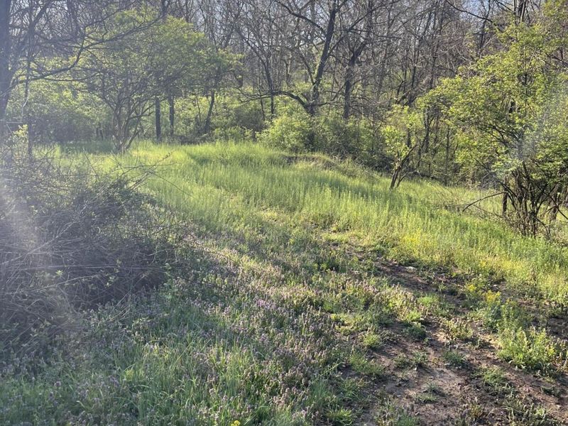 7620 E Bend Road, Burlington, KY 41005 Photo 8