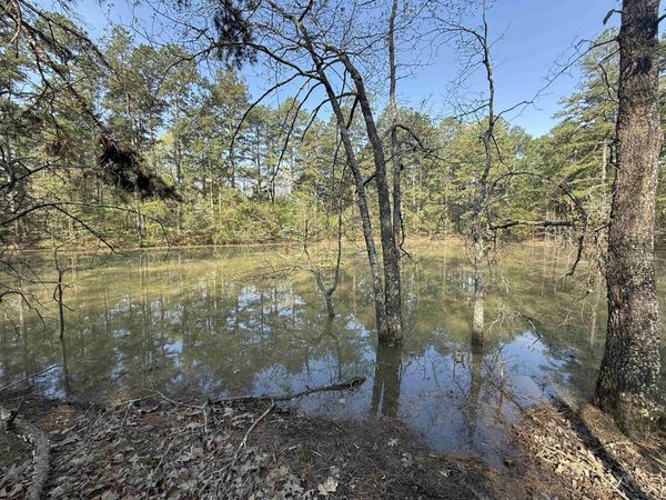 1314 Shoemaker Road, Violet Hill, AR 72584