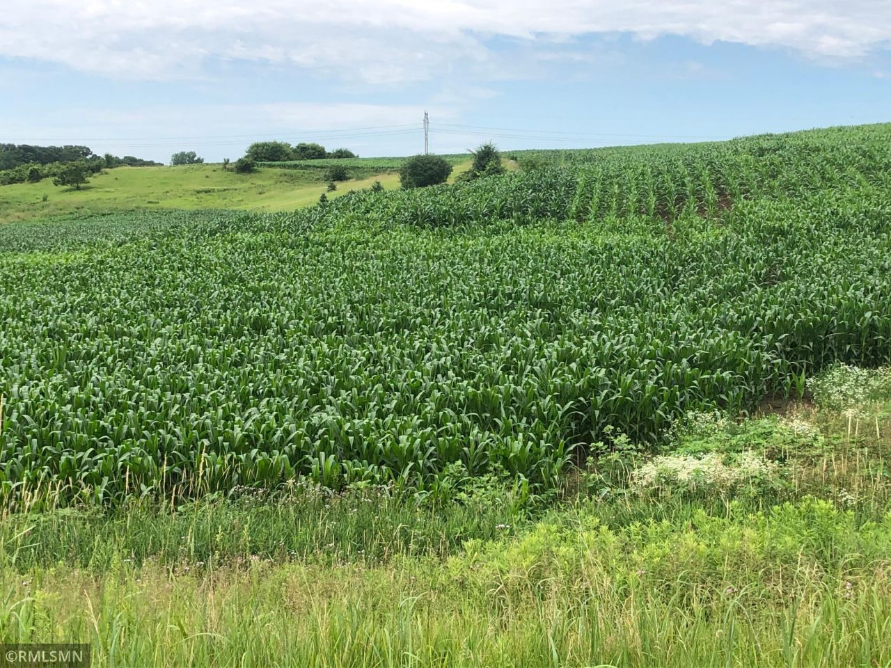 2298 Inwood Avenue N, Lake Elmo, MN 55042