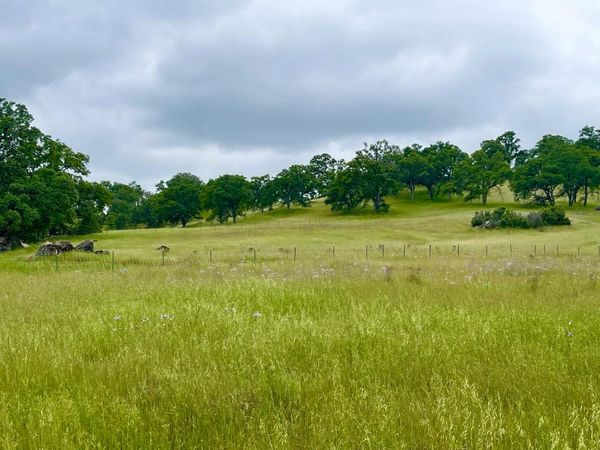 3190 State Highway 132, La Grange, CA 95329