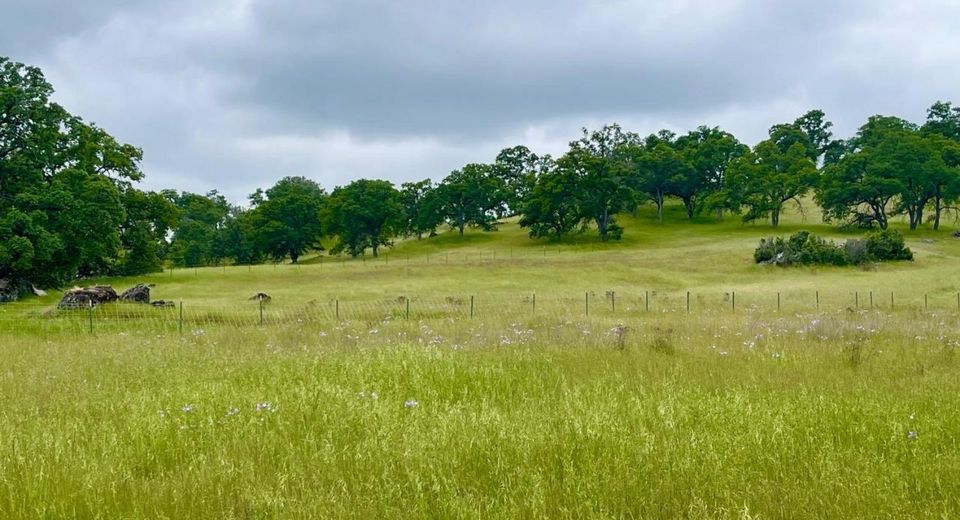 3190 State Highway 132, La Grange, CA 95329 Photo