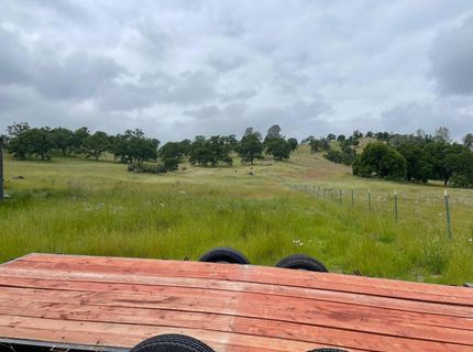 3190 State Highway 132, La Grange, CA 95329 Photo