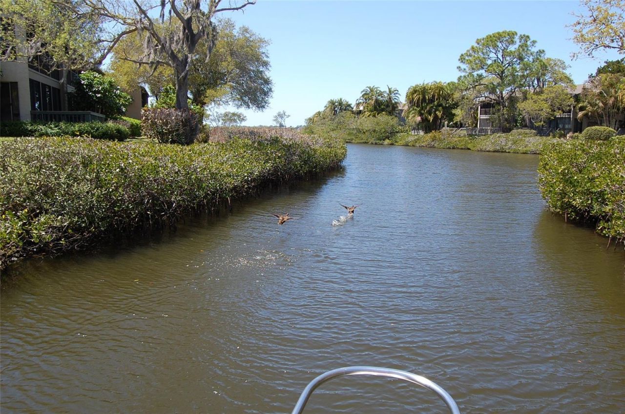 1512 Pelican Point Drive, Unit BA264, Sarasota, FL 34231 Photo
