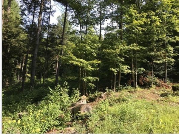 49 Old Chester Rd, Huntington, MA 01050