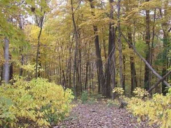 97 ac Fritz Road, Verona, WI 53593