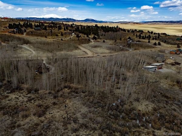 1555 Sheep Ridge Road, Fairplay, CO 80440
