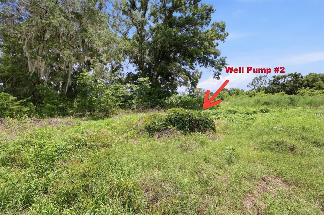 12630 U.s. 441, Belleview, FL 34420 Photo