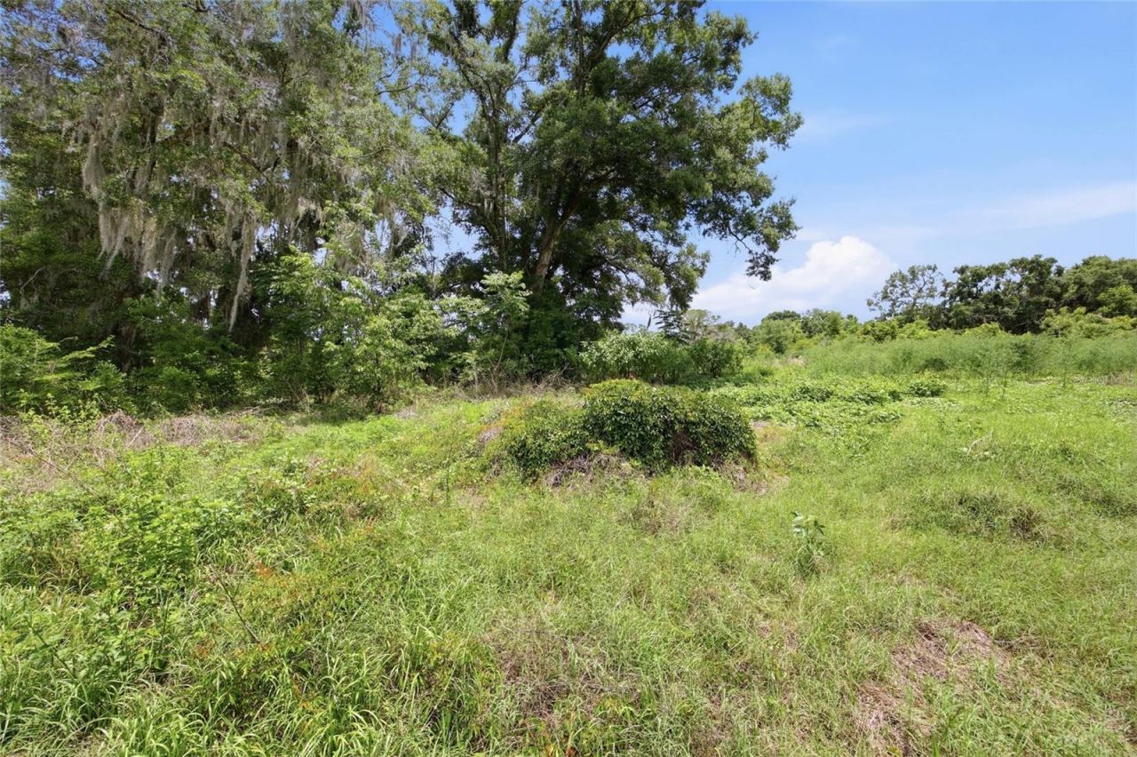 12630 U.s. 441, Belleview, FL 34420 Photo