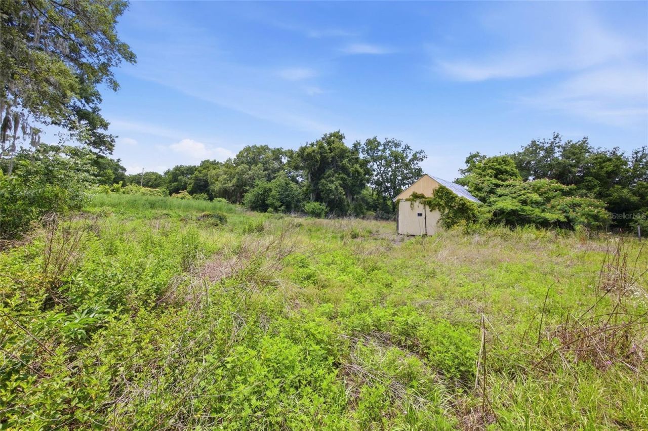 12630 U.s. 441, Belleview, FL 34420 Photo