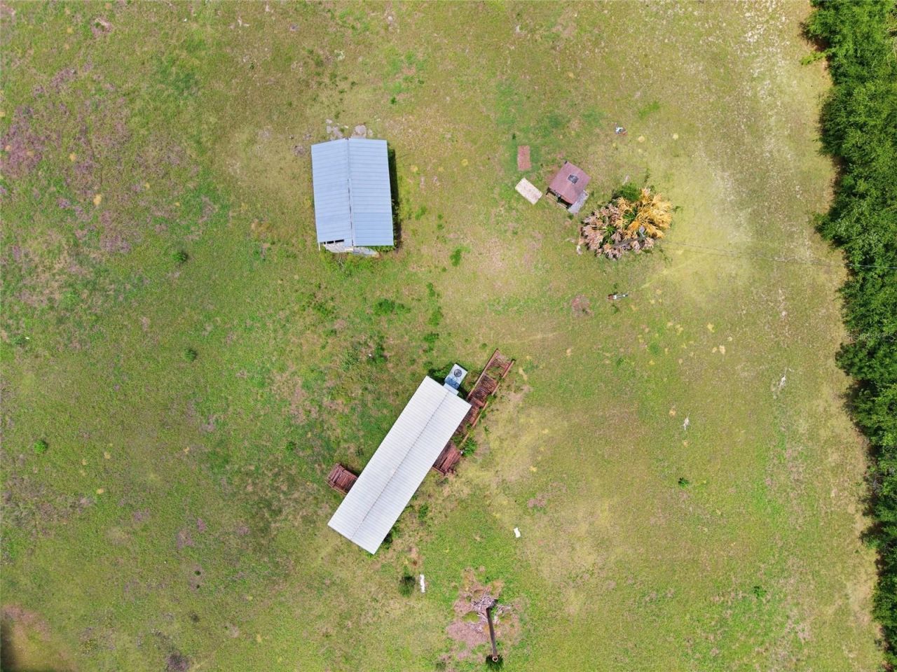 12630 U.s. 441, Belleview, FL 34420 Photo