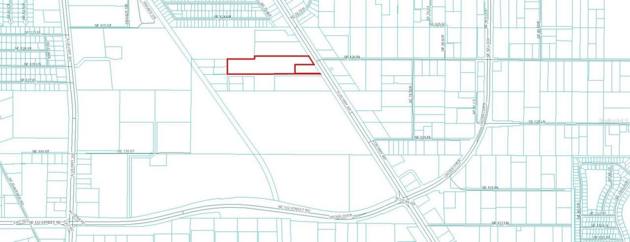 12630 U.s. 441, Belleview, FL 34420 Photo