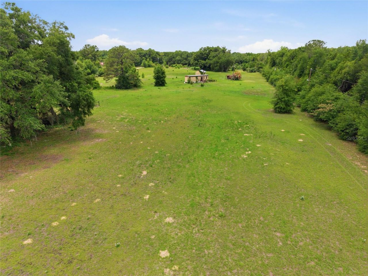 12630 U.s. 441, Belleview, FL 34420 Photo