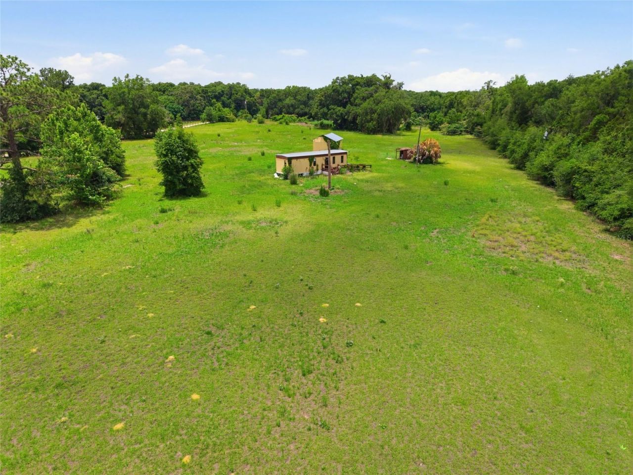 12630 U.s. 441, Belleview, FL 34420 Photo