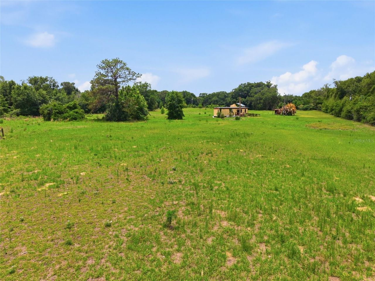 12630 U.s. 441, Belleview, FL 34420 Photo