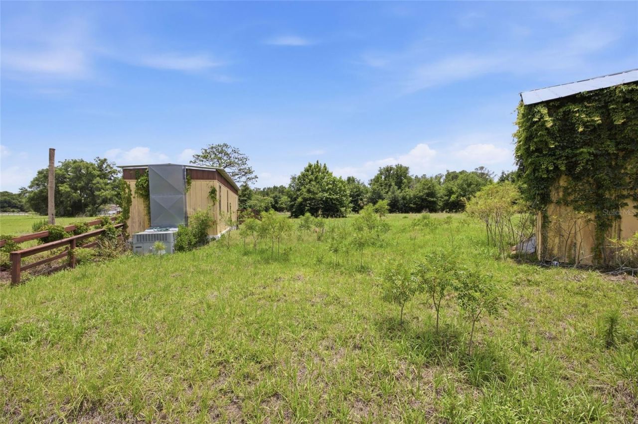 12630 U.s. 441, Belleview, FL 34420 Photo