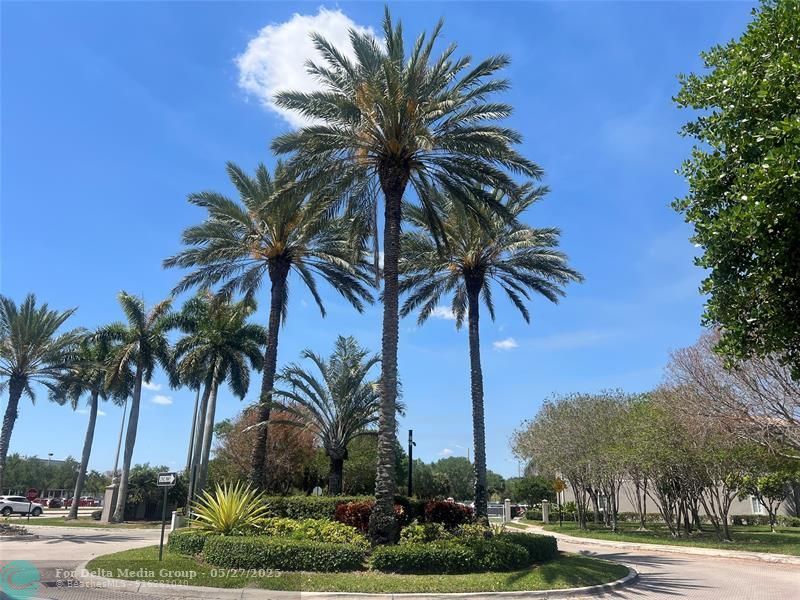 5051 Wiles Road, Unit 201, Coconut Creek, FL 33073 Photo