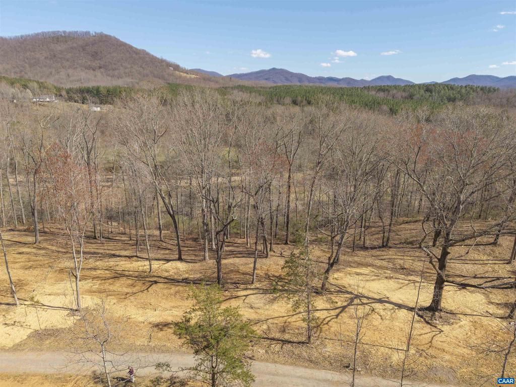 Lot 3 Rockfish Valley Hwy, Lot #3, Afton, VA 22920 Main Photo