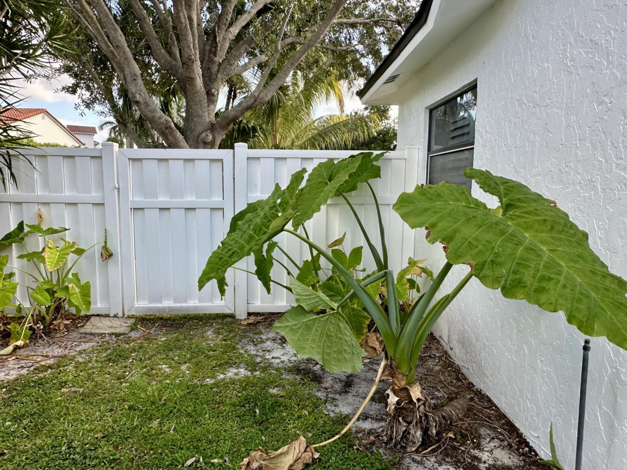 801 NW 6th Drive, Boca Raton, FL 33486 Photo