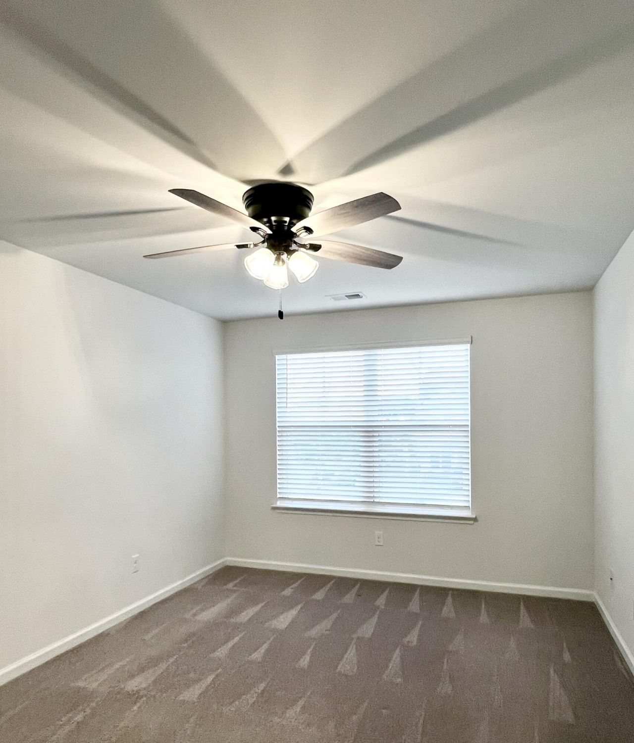 703 Hilchot Drive Photo 31