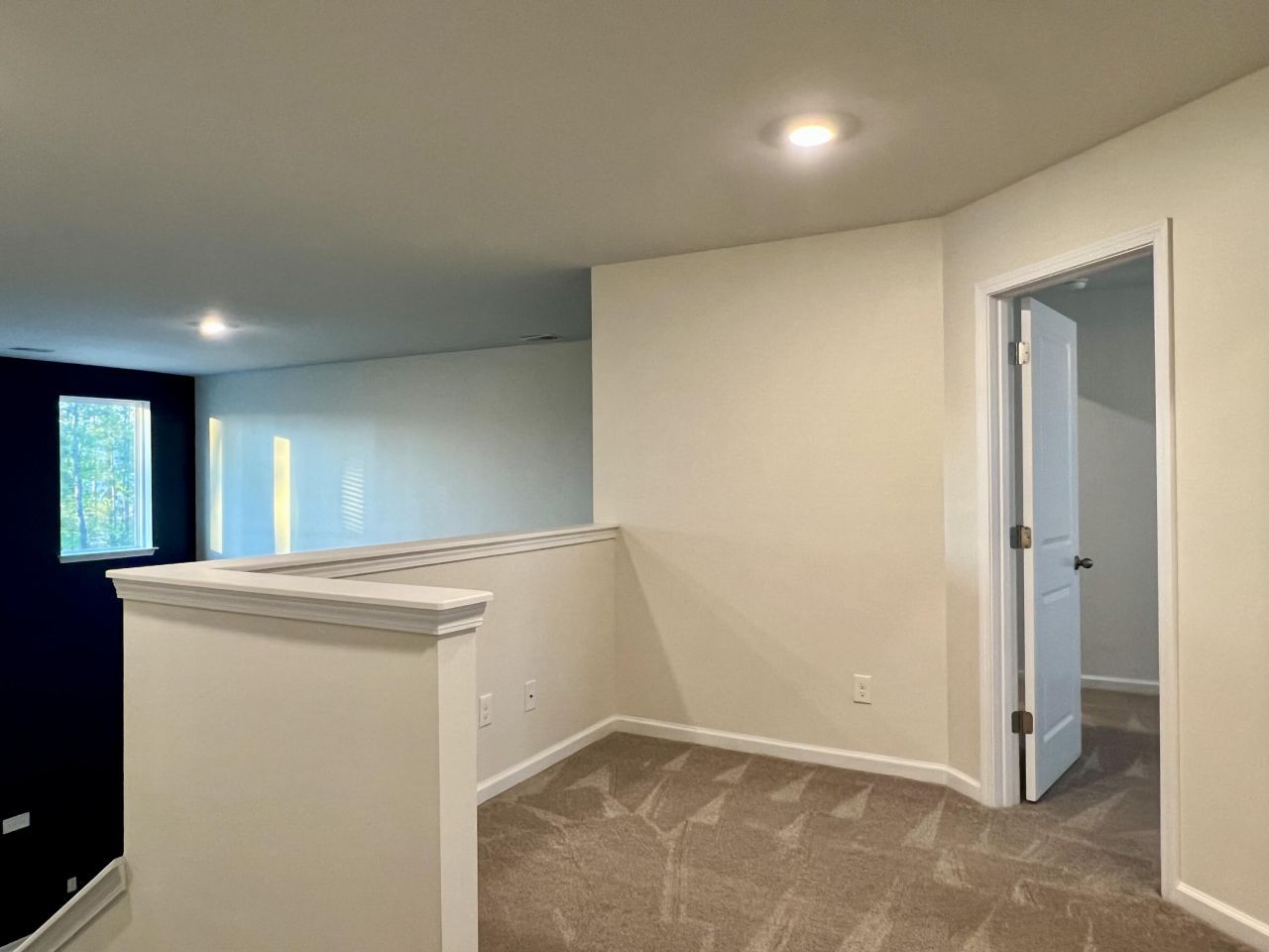 703 Hilchot Drive Photo 37