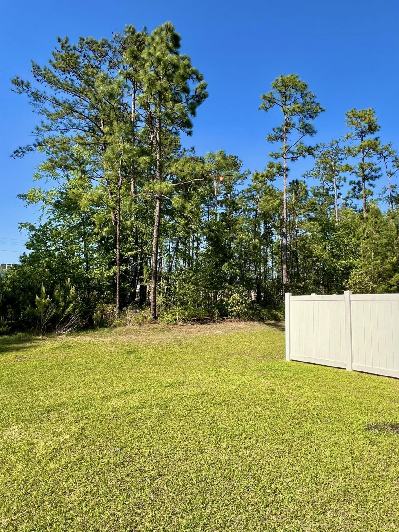 703 Hilchot Drive Photo 48