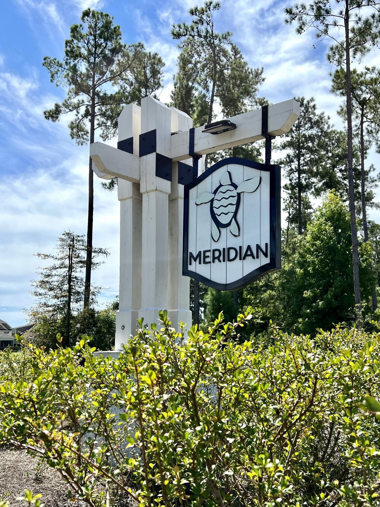 703 Hilchot Drive Photo 49