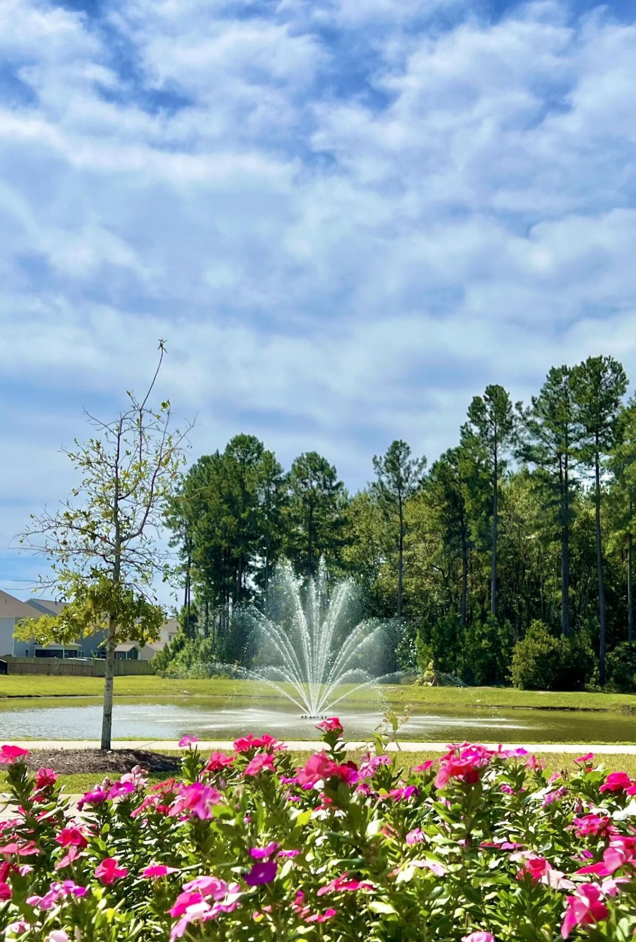 703 Hilchot Drive Photo 50