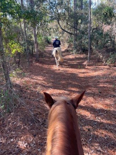 4658 W Hacienda Drive, Beverly Hills, FL 34465 Photo