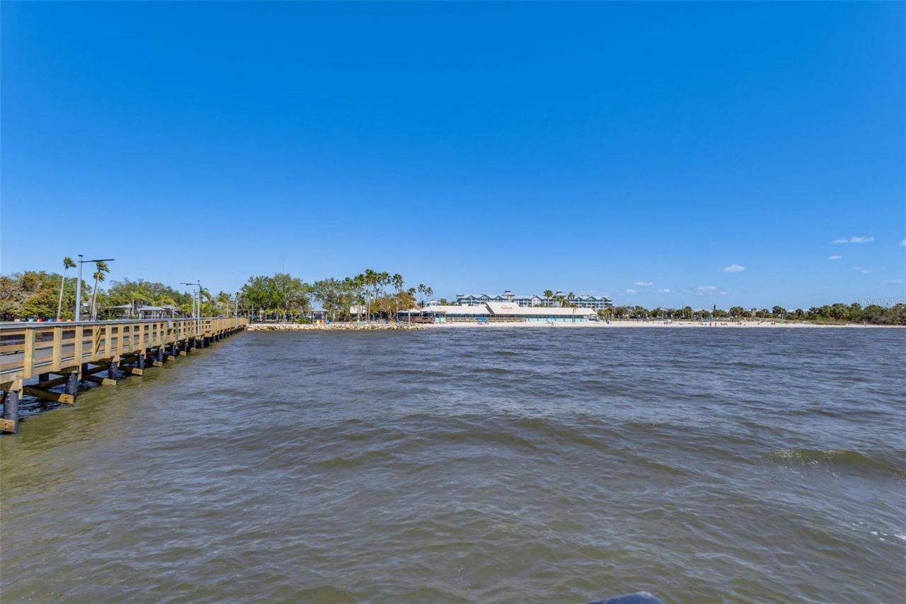 3248 Mangrove Point Drive, Ruskin, FL 33570 Photo