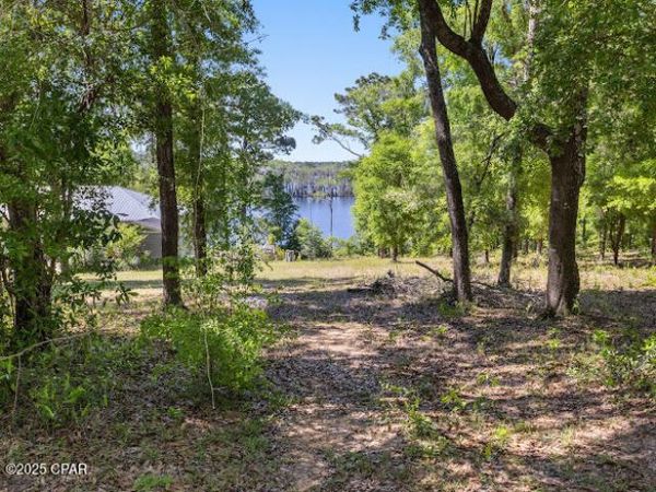 0000 Paradise Lakes Road, Chipley, FL 32428