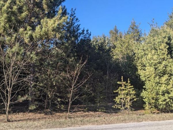 0 Tenth Street, Bear Lake, MI 49614