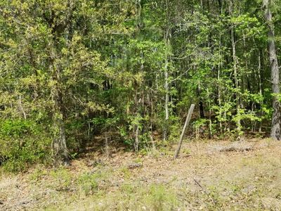 0 Belton Lane, Ruffin, SC 29475