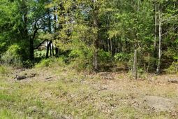 0 Belton Lane photo 4