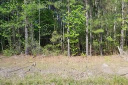 0 Belton Lane photo 4