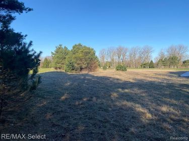 Weeden Road, Indianfields Twp, MI 48723