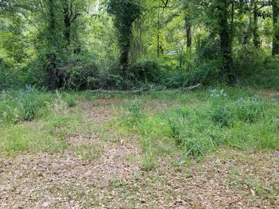 0 Rabb Street, Walterboro, SC 29488