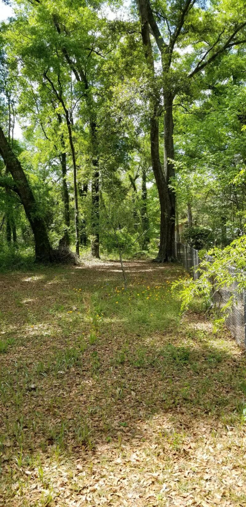 0 Rabb Street Photo 10