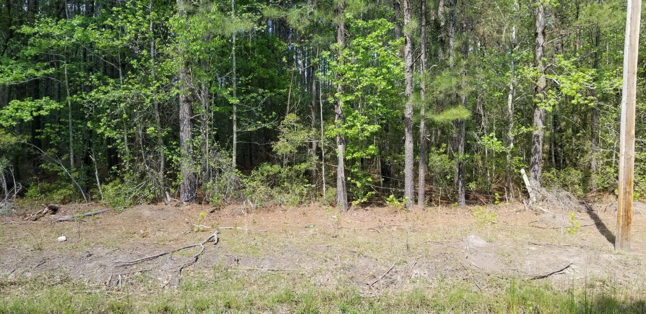 0 Rabb Street Photo 4