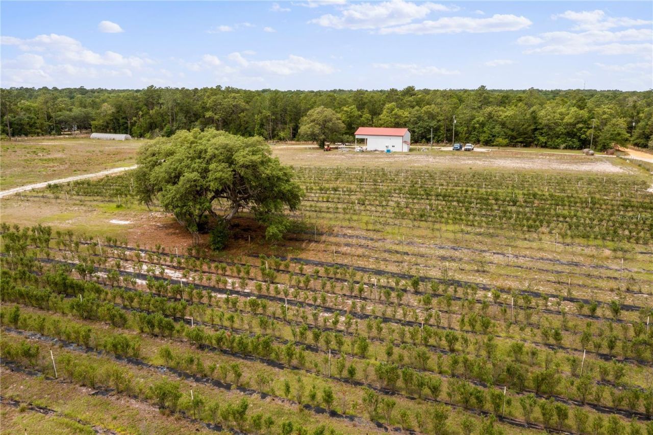 130 Strawberry Lane, Pomona Park, FL 32181 Photo