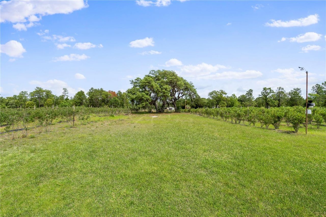 130 Strawberry Lane, Pomona Park, FL 32181 Photo