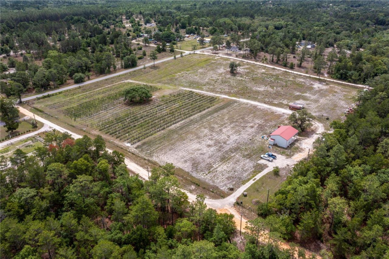 130 Strawberry Lane, Pomona Park, FL 32181 Photo