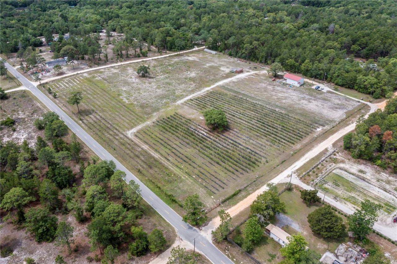 130 Strawberry Lane, Pomona Park, FL 32181 Photo