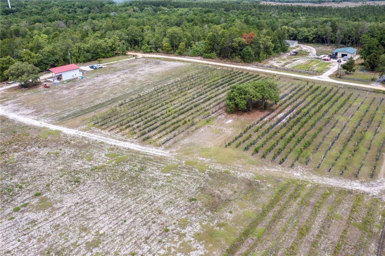 130 Strawberry Lane, Pomona Park, FL 32181 Photo