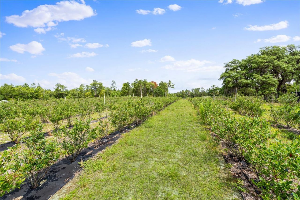 130 Strawberry Lane, Pomona Park, FL 32181 Photo