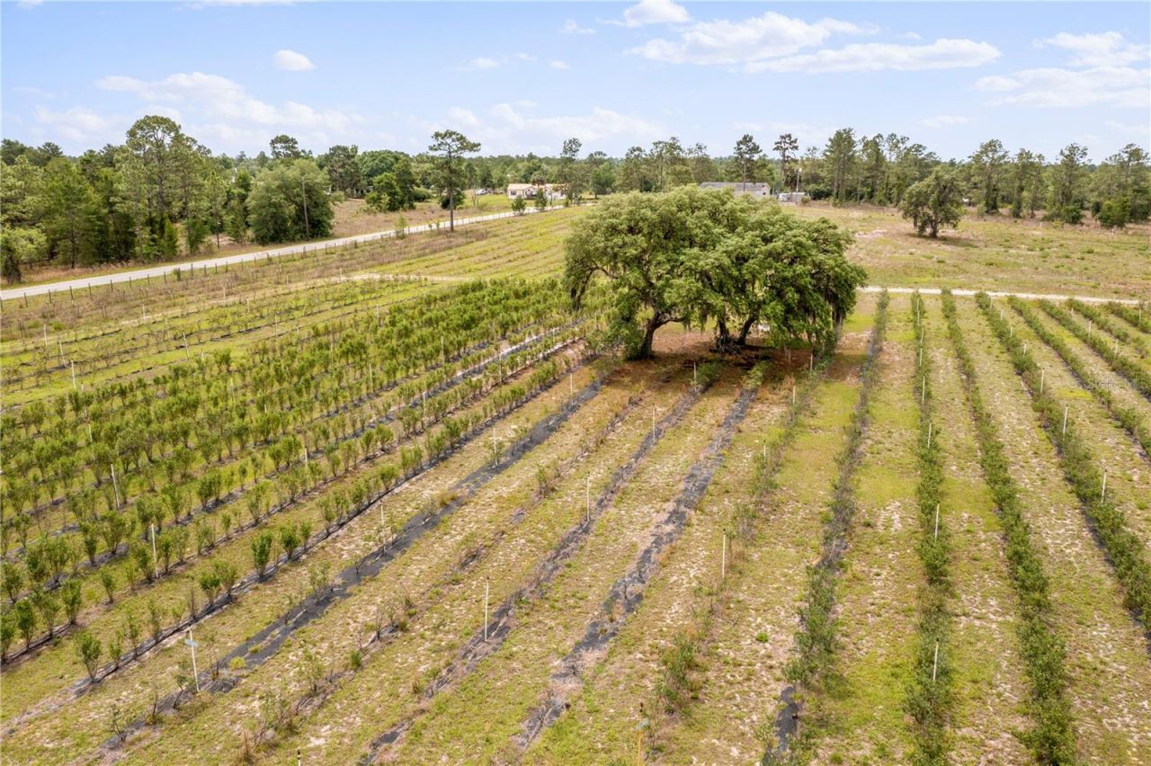 130 Strawberry Lane, Pomona Park, FL 32181 Photo