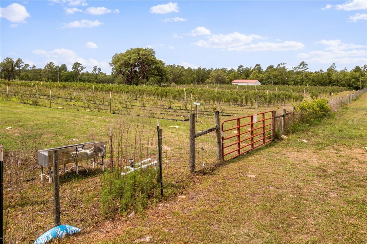 130 Strawberry Lane, Pomona Park, FL 32181 Photo