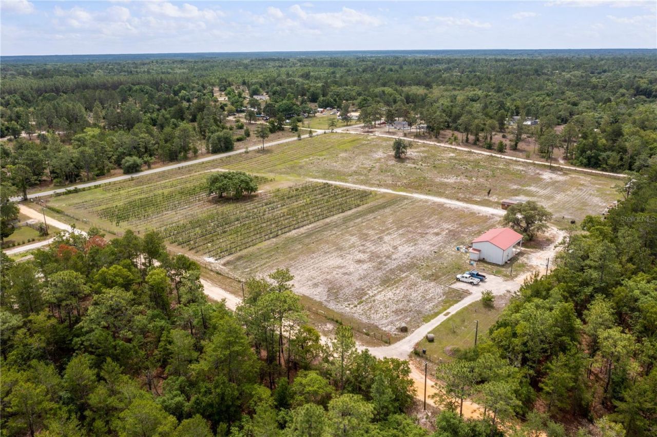 130 Strawberry Lane, Pomona Park, FL 32181 Photo