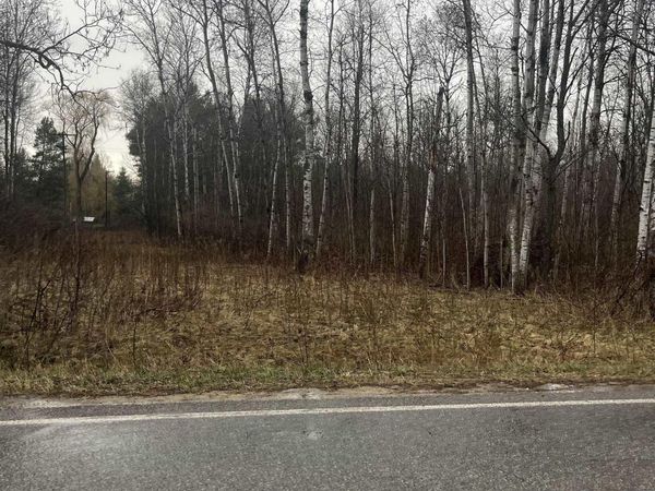 Michigan Avenue N, Manton, MI 49663