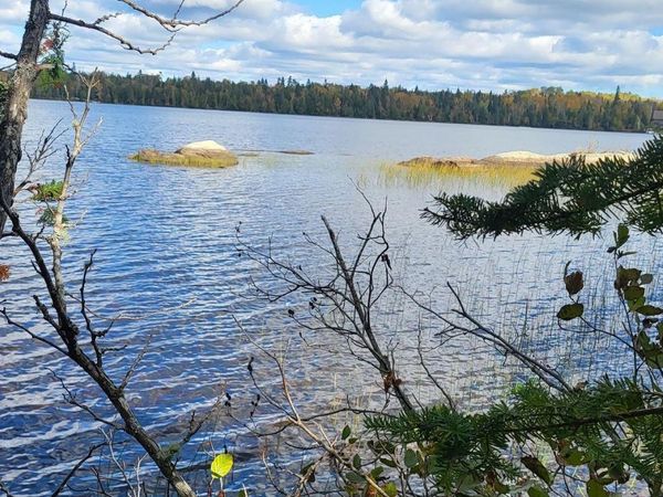 xx3.64 Gamma Road, Kabetogama, MN 56669