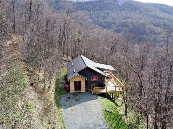 94 Foxtrot Ln, Slatyfork, WV 26291